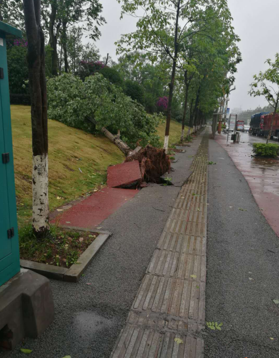 瀘州城市園林設(shè)計(jì) 瀘州城市園林設(shè)計(jì)