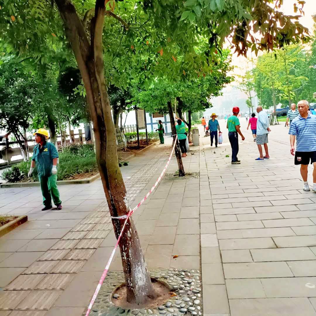 1597914690866421.jpg